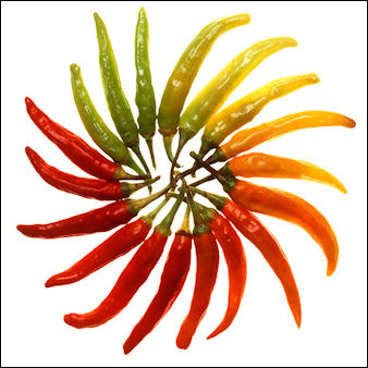 20120525-Peppers Charleston_Hot_peppers_white_background.jpg